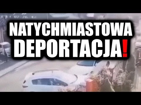 A look at desparazil apteka gemini cena